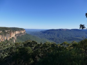 P1010151