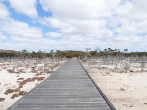 P1020803