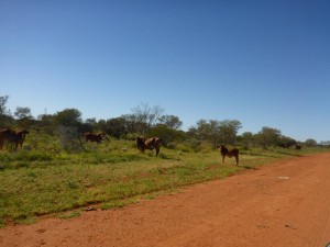 P1020067
