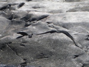 P1030260