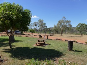 P1060082
